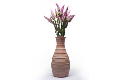 Celosia Roquette Pink