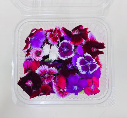Edible Flowers - Dianthus