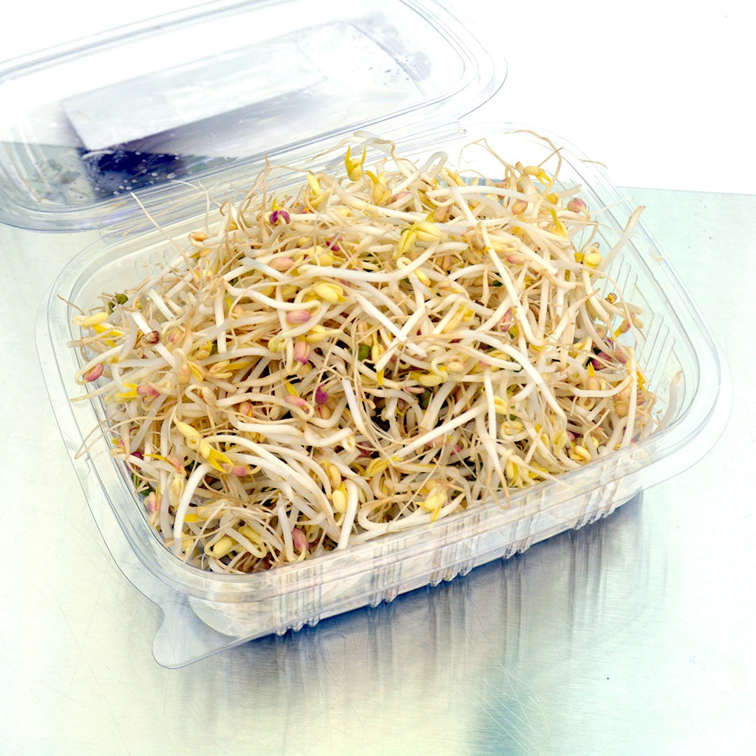 Mung Sprouts