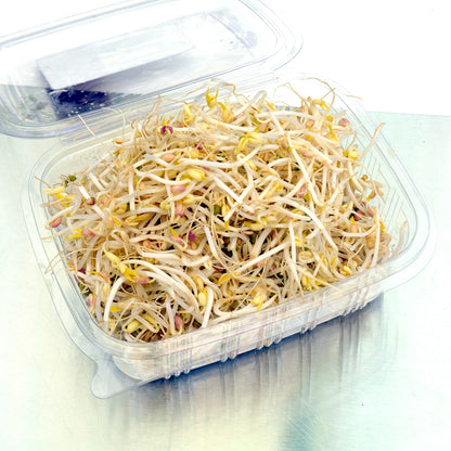 Mung Sprouts