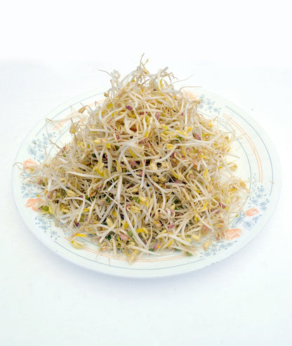 Mung Sprouts