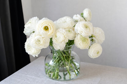 Ranunculus White