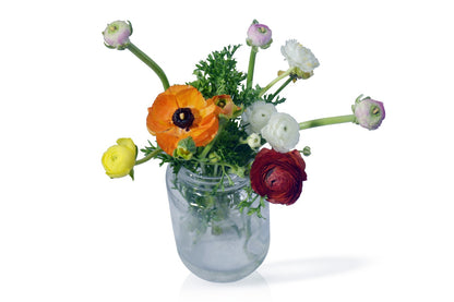 Ranunculus Mix