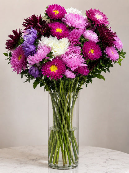 Aster
