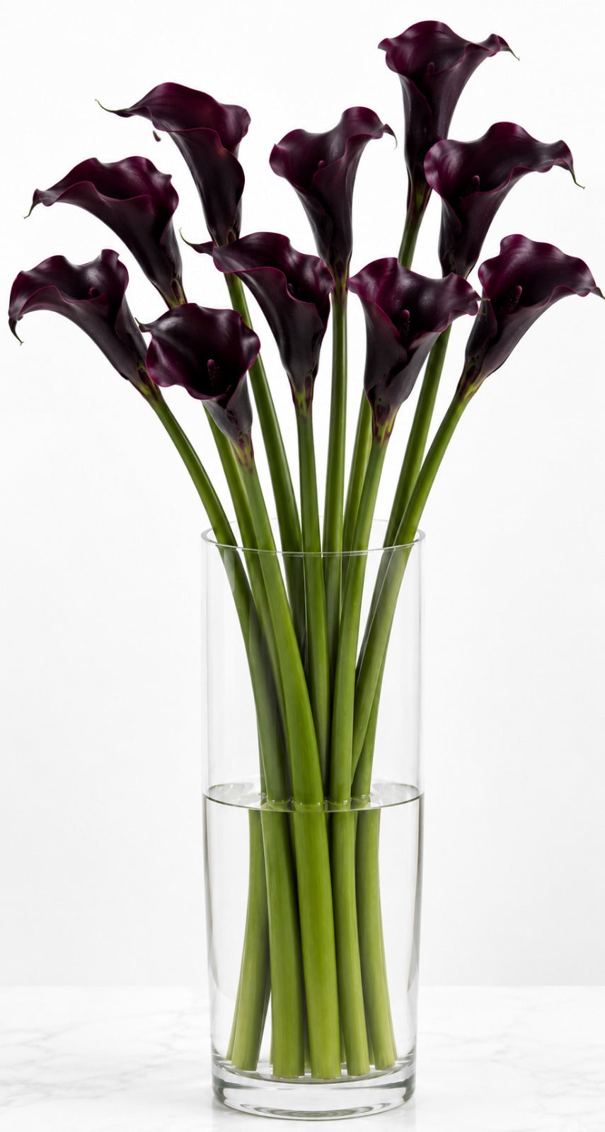 Calla lily Brown