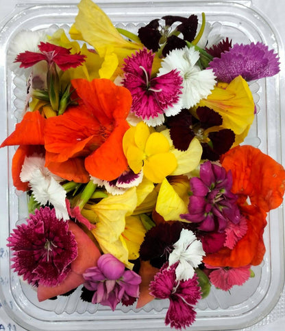 Edible Flowers - Mix(Pkts)