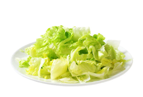Ready to Use - Lettuce Iceberg