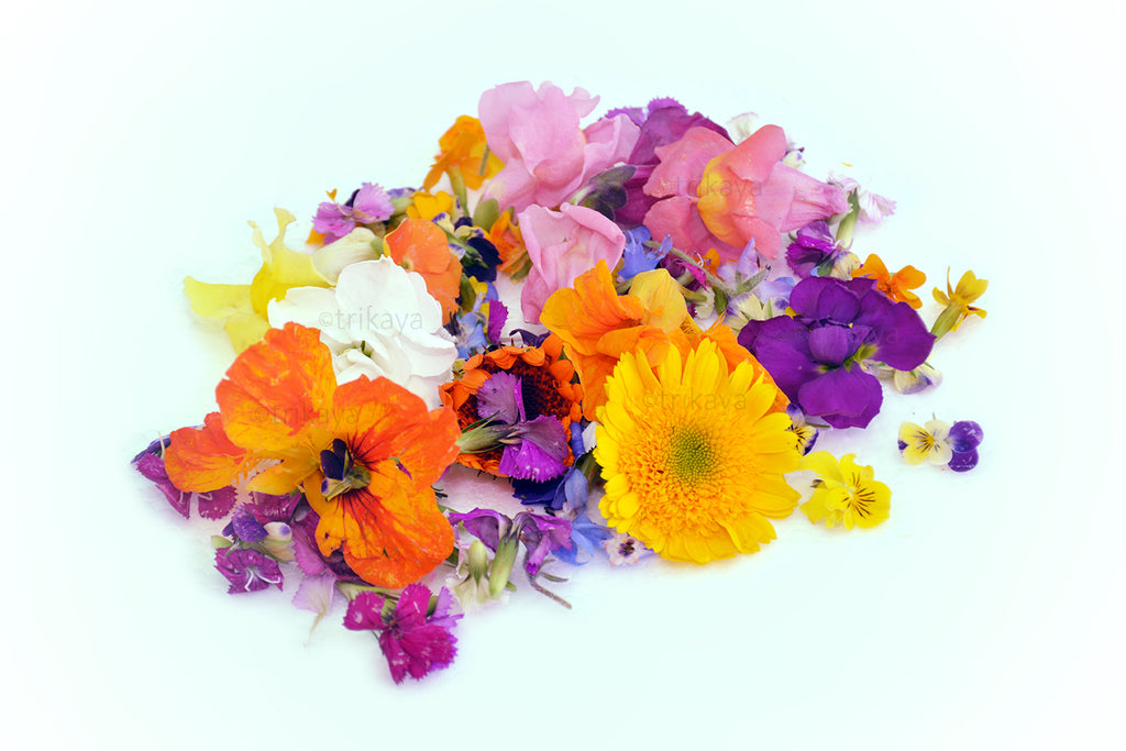 Edible Flower Freshly Preserved Freeze-Dried (0.2 oz) | Edible Pansy |Dried Edible Flowers | Edible Flowers for Cakes | Edible Flowers for Cocktails