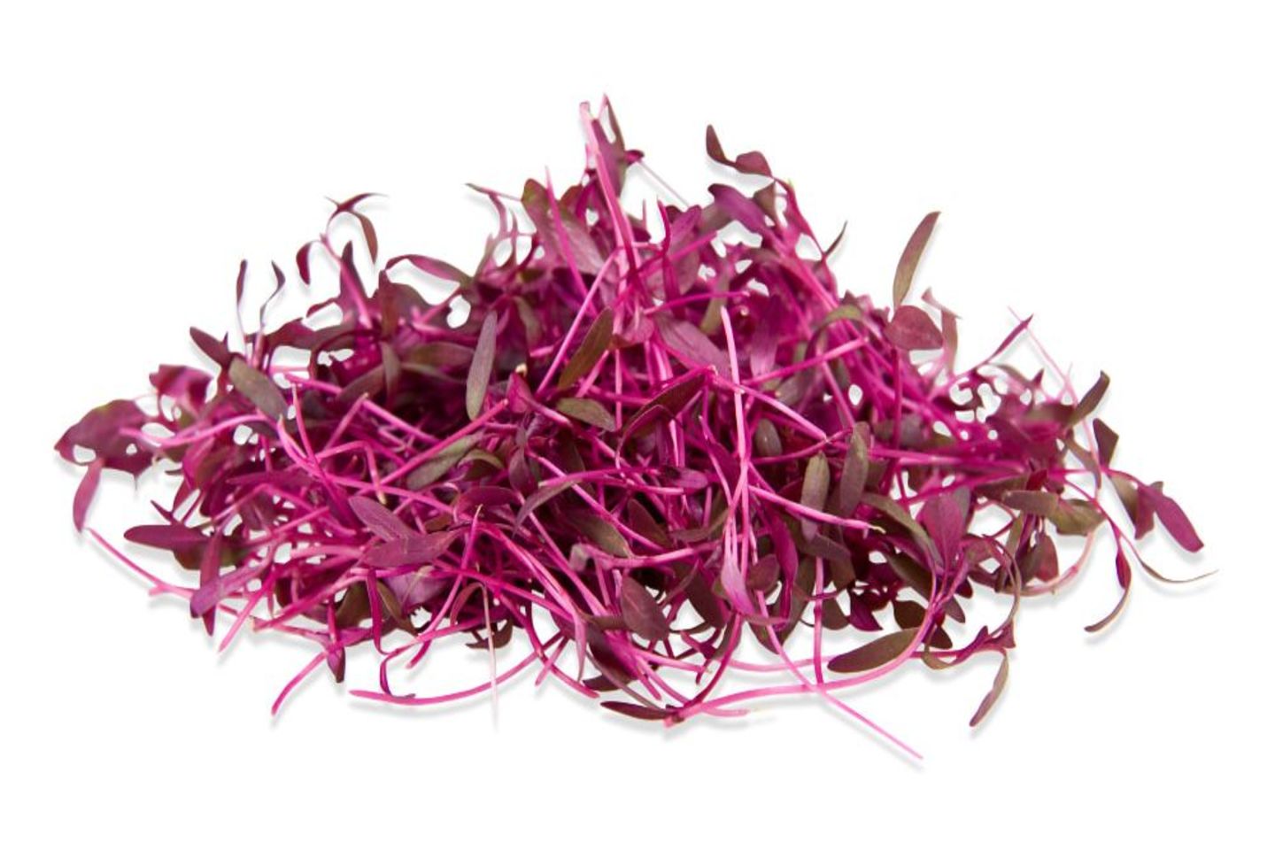 Microgreen Amaranthus