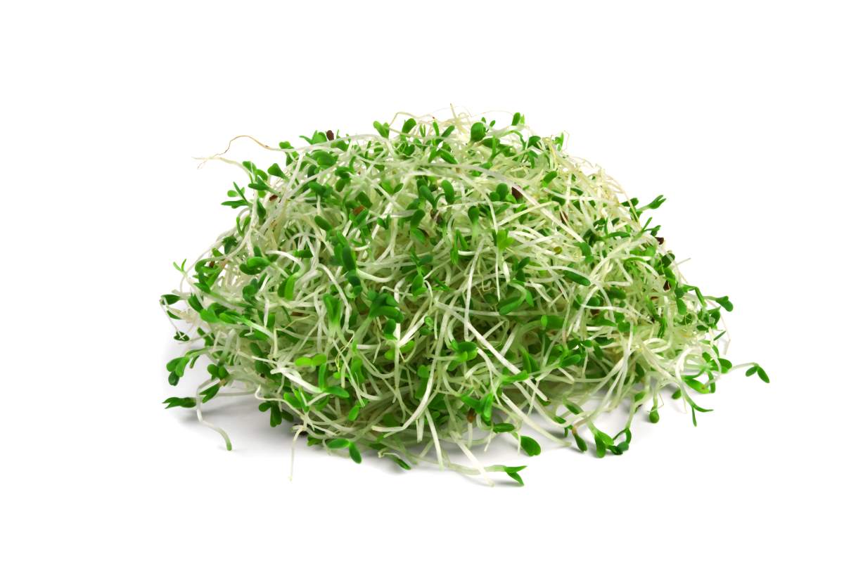 10 Health Benefits of Eating Sprouts :- जानिए Sprouts खाने के 10 जबरदस्त फायदे ।