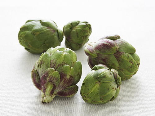 Artichoke Globe