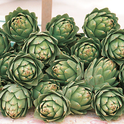 Artichoke Globe