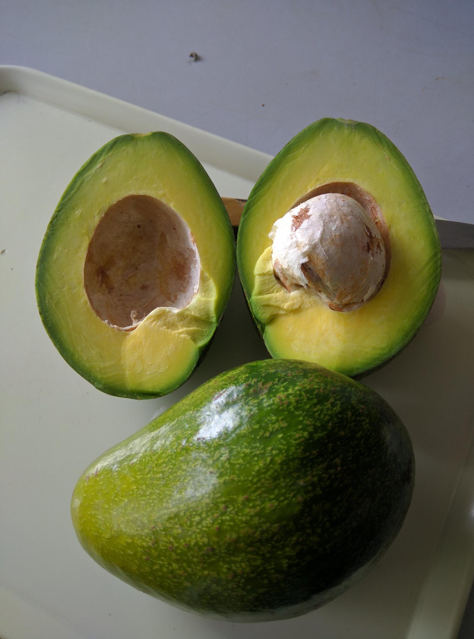 Avocado Premium