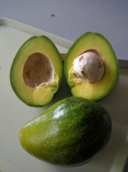 Avocado Premium