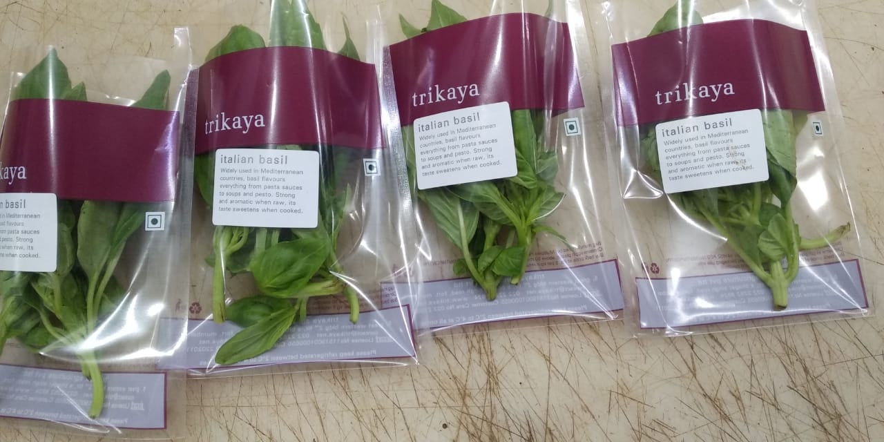 Basil Italian