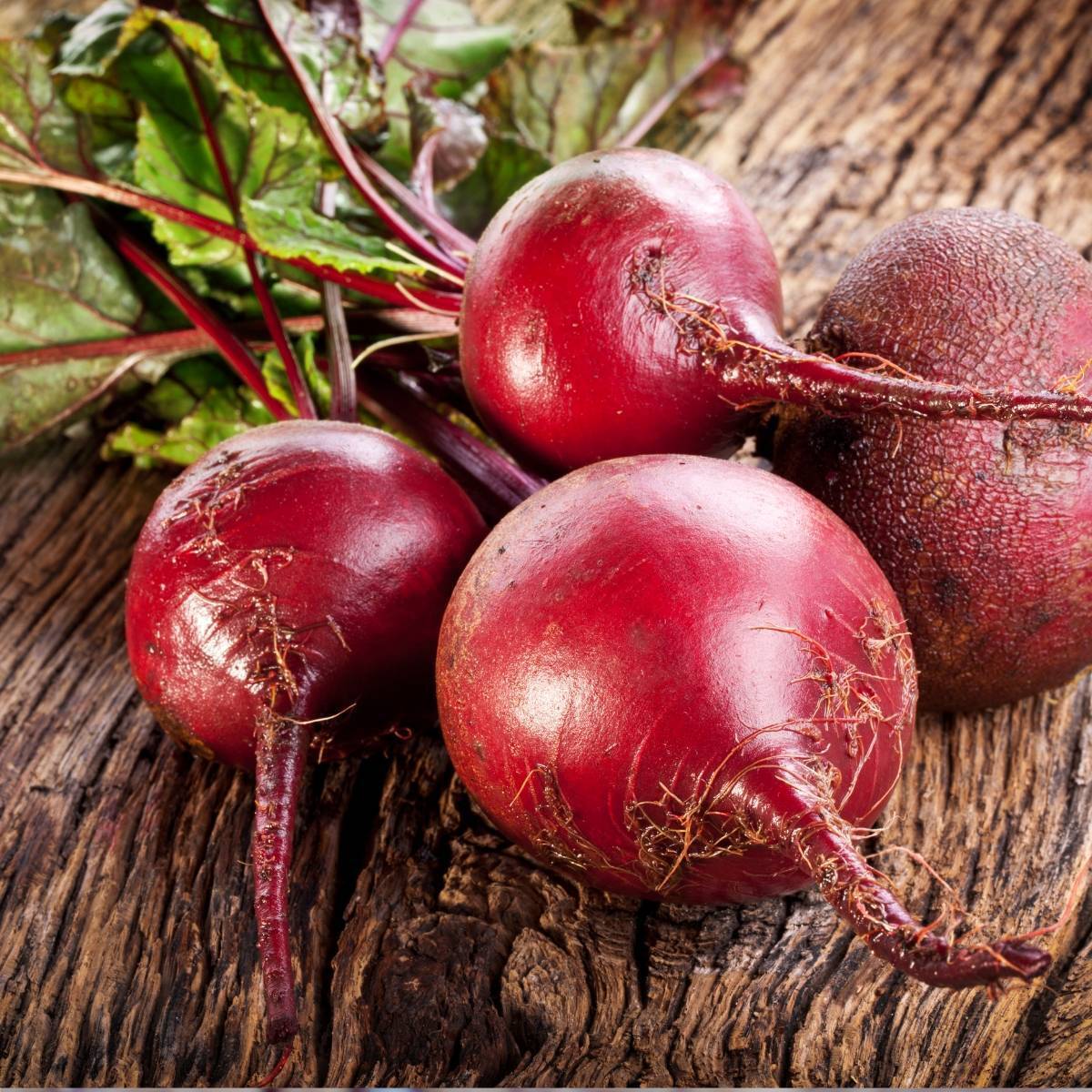 Beetroot, Baby