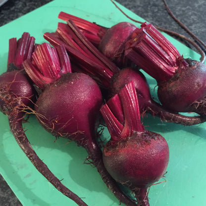 Beetroot, Baby