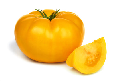 Tomato Boston Gold