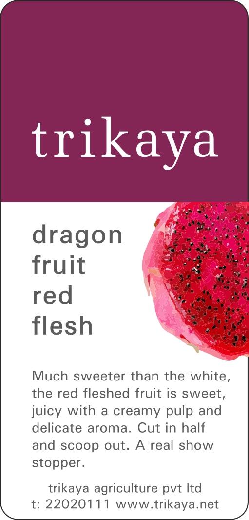 Dragon Fruit (Red Flesh)