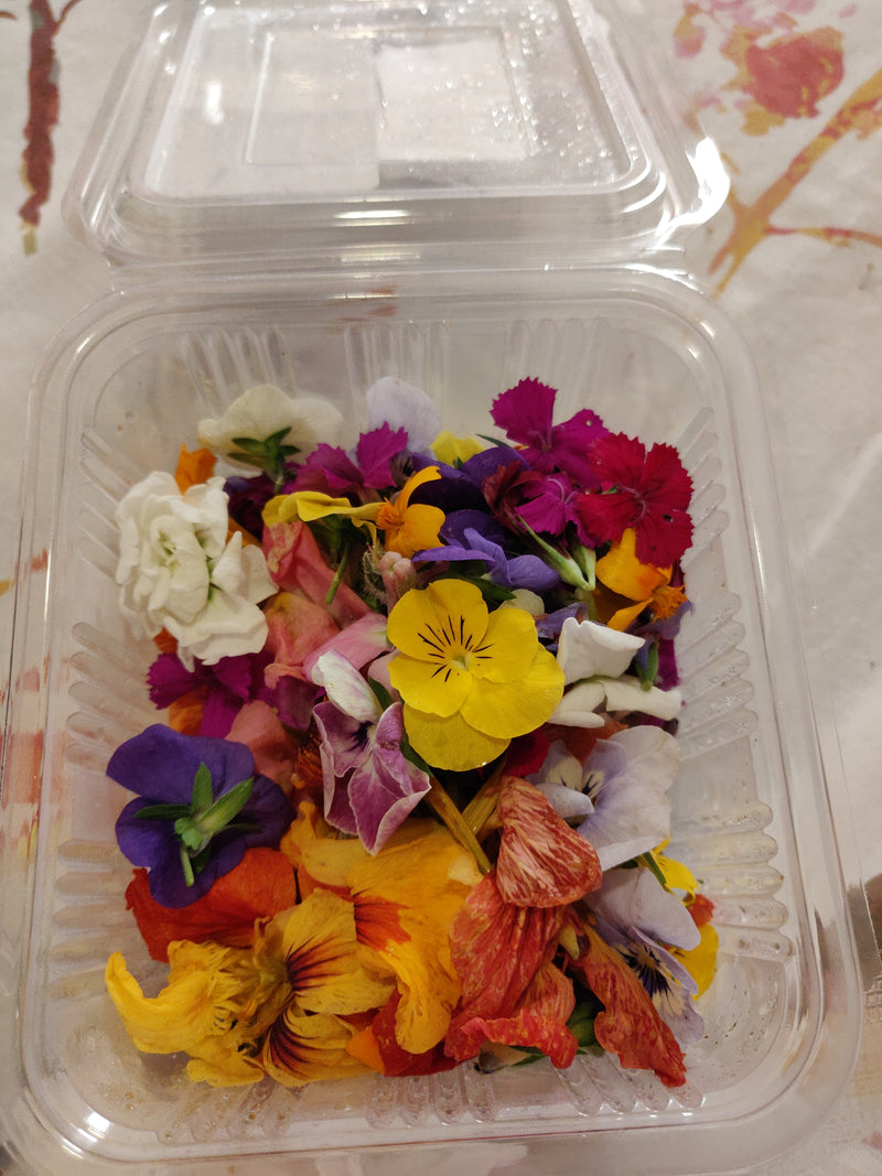Buy Fresh Edible Flower Petals Mix Online for Delivery at