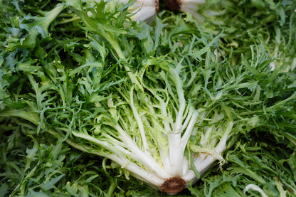 Endive