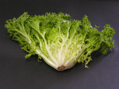 Endive