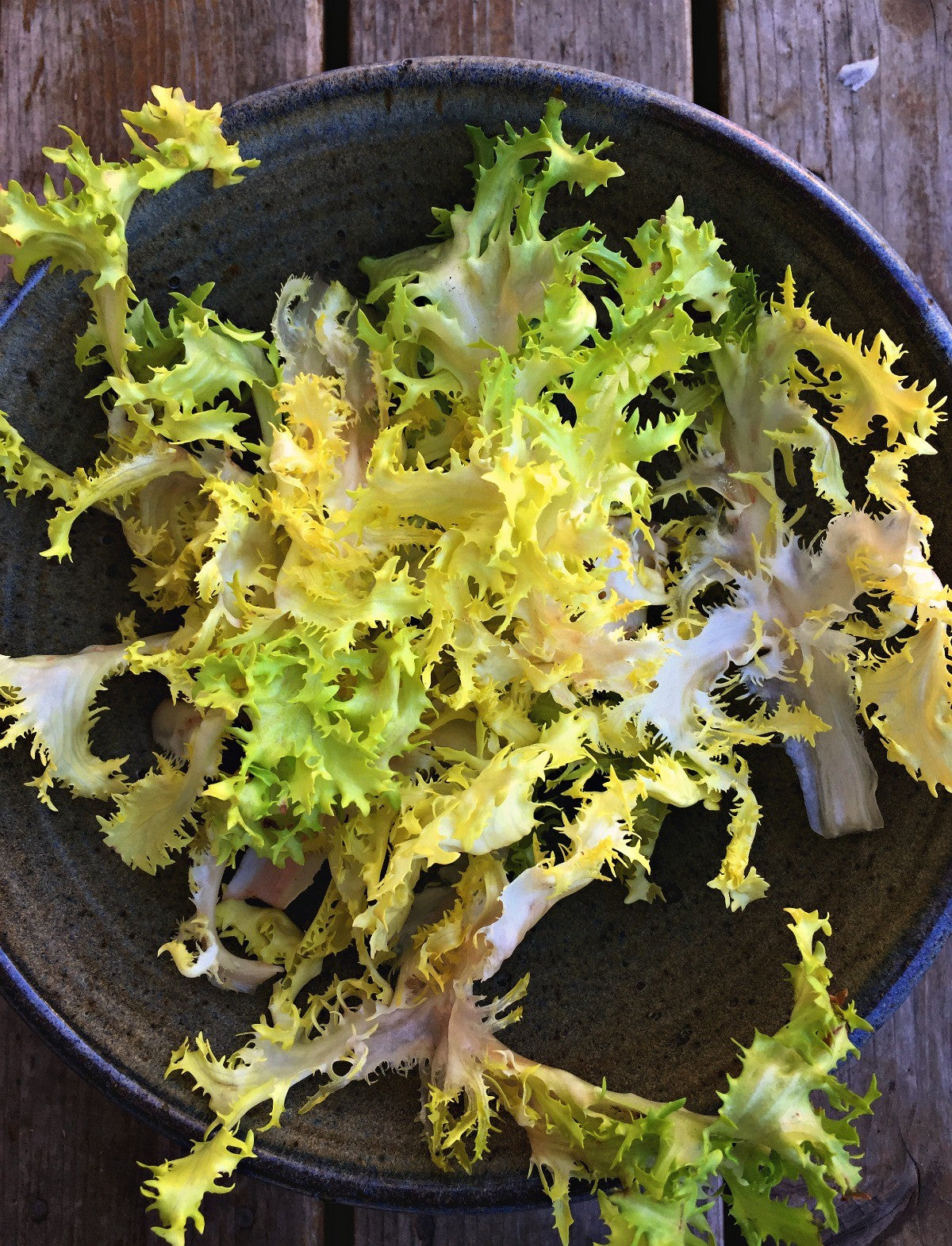 Endive