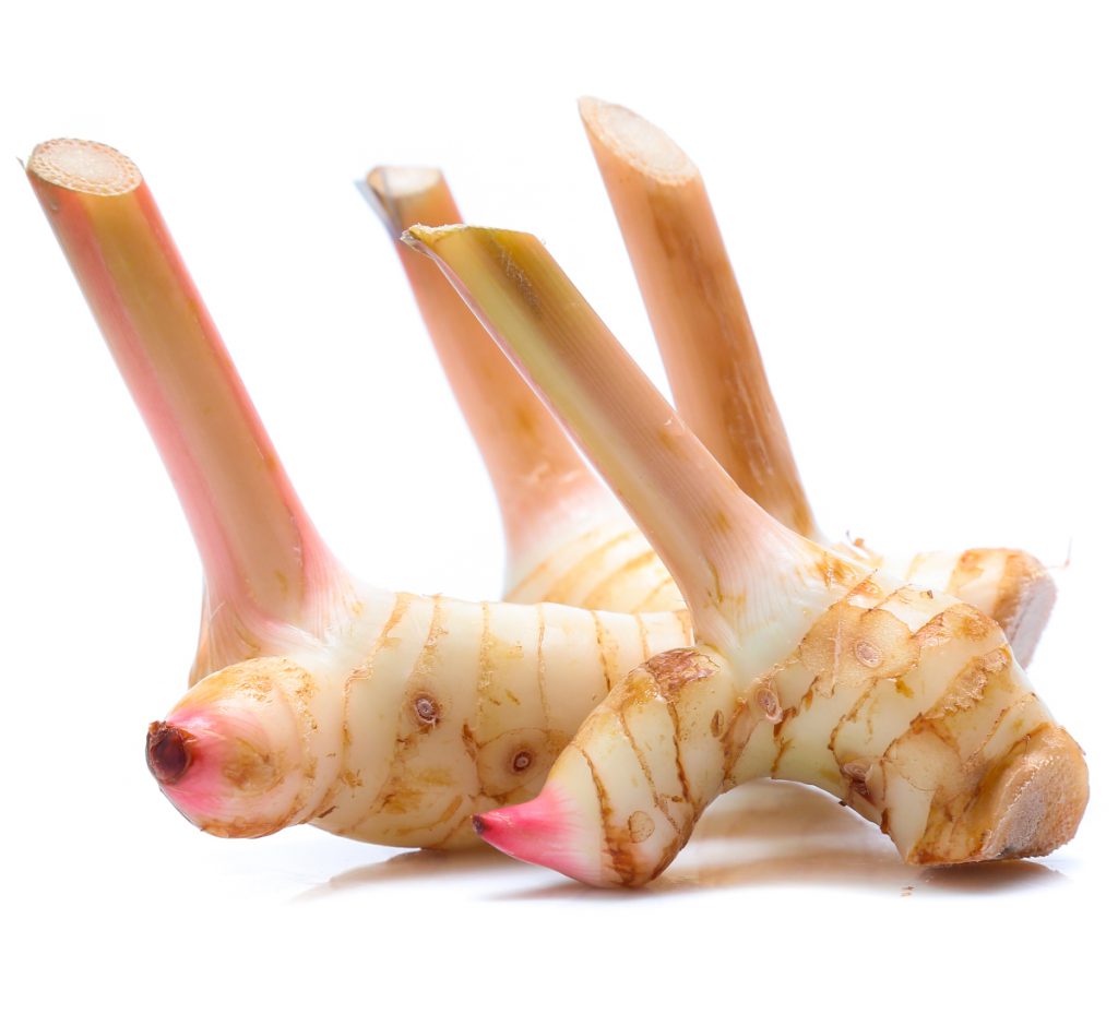 Galangal / Thai Ginger