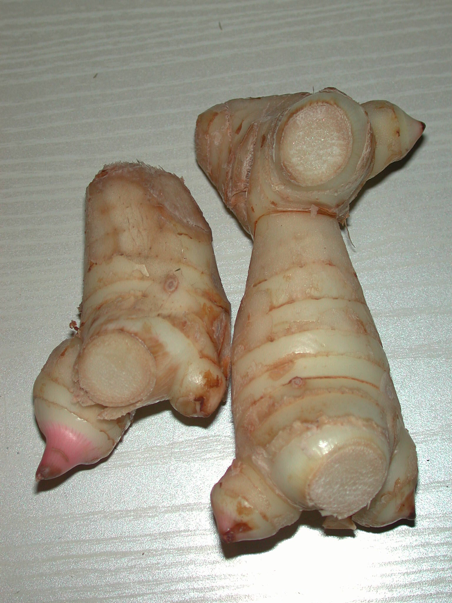 Galangal / Thai Ginger