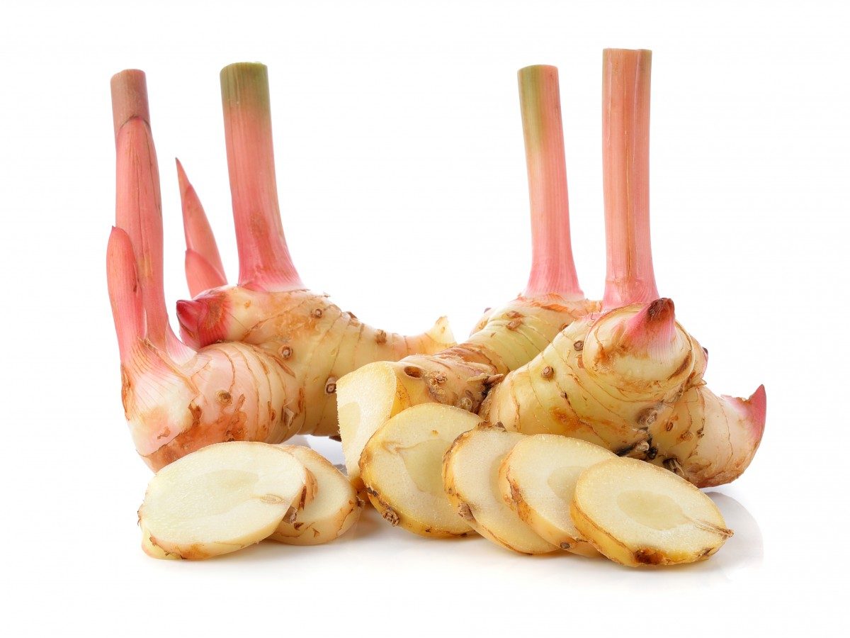 Galangal / Thai Ginger