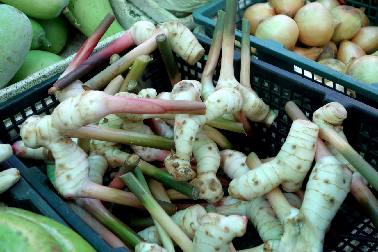 Galangal / Thai Ginger