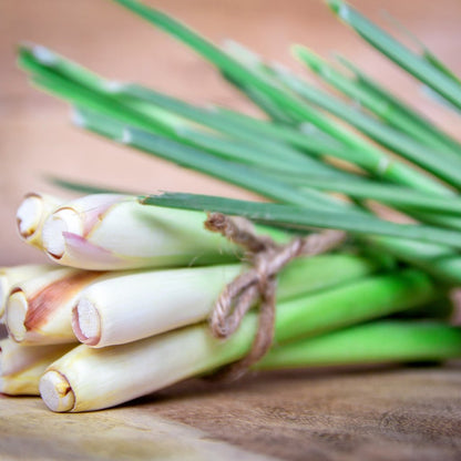 Lemon Grass