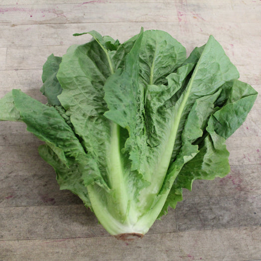 Lettuce Leafy