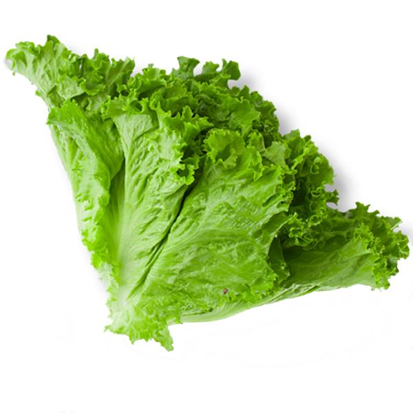 Lettuce Leafy