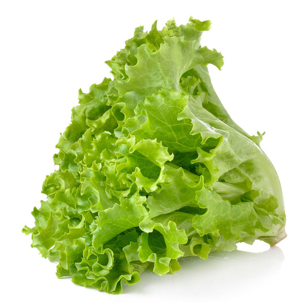 Lettuce Leafy
