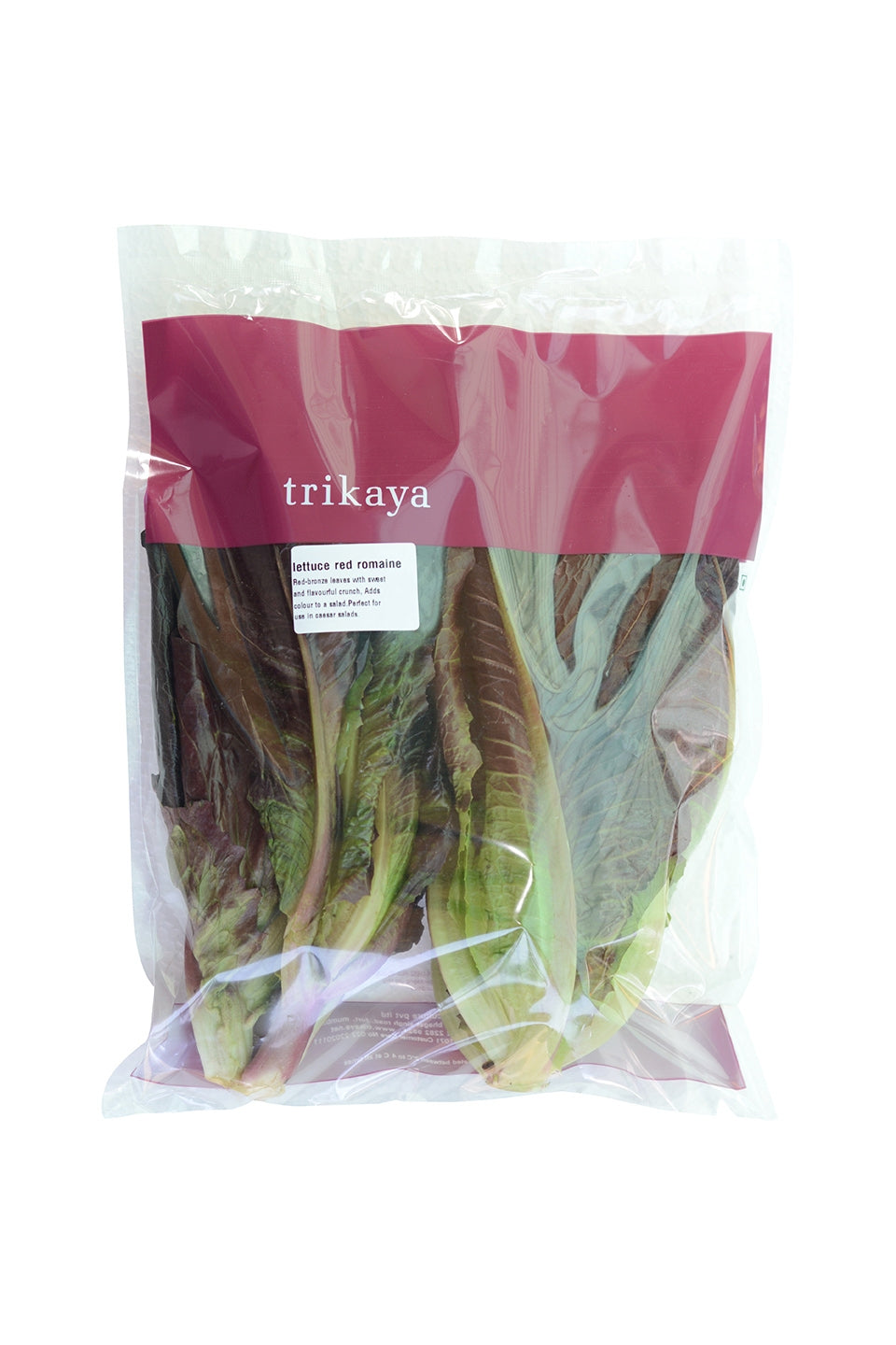 Lettuce Romaine Red