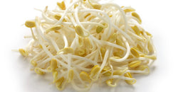 Matki (Moth) Sprouts