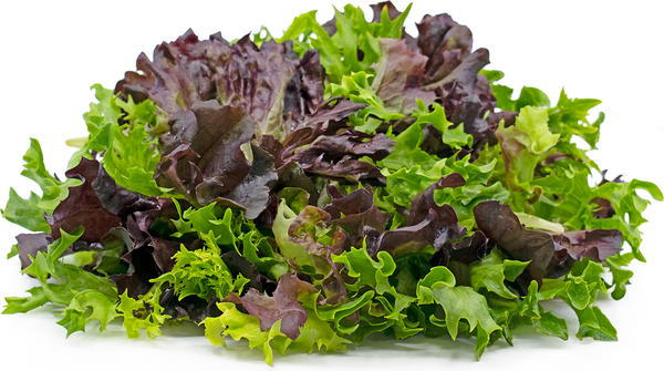 Mix Lettuce  - Ready to eat salad
