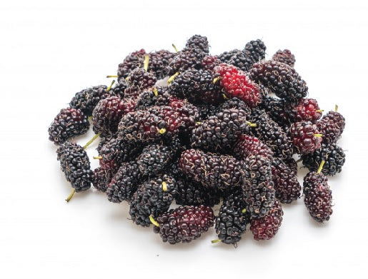 Mulberry, Premium