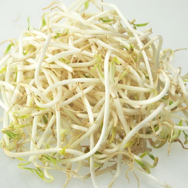 Mung Sprouts