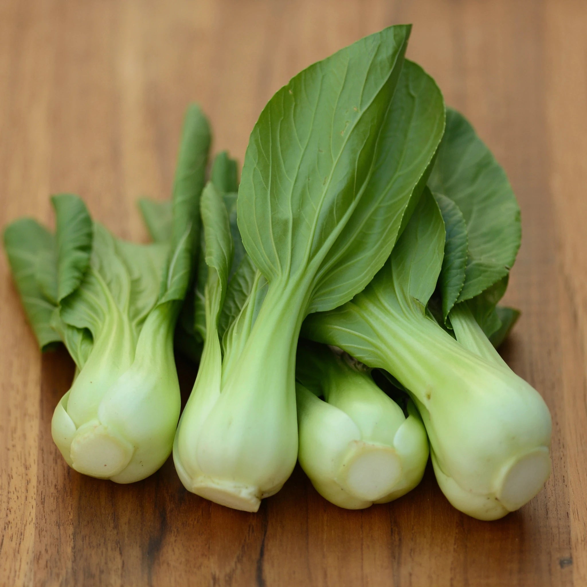 Pak choi, Baby