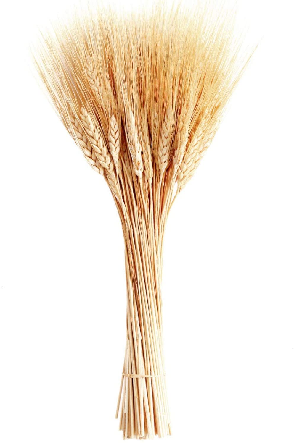 Silver tip filler - Dry
