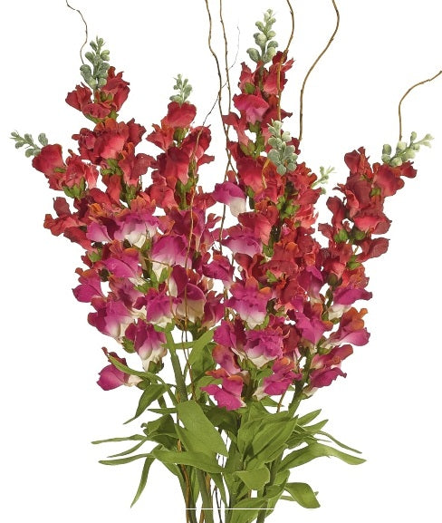 Snapdragon Red