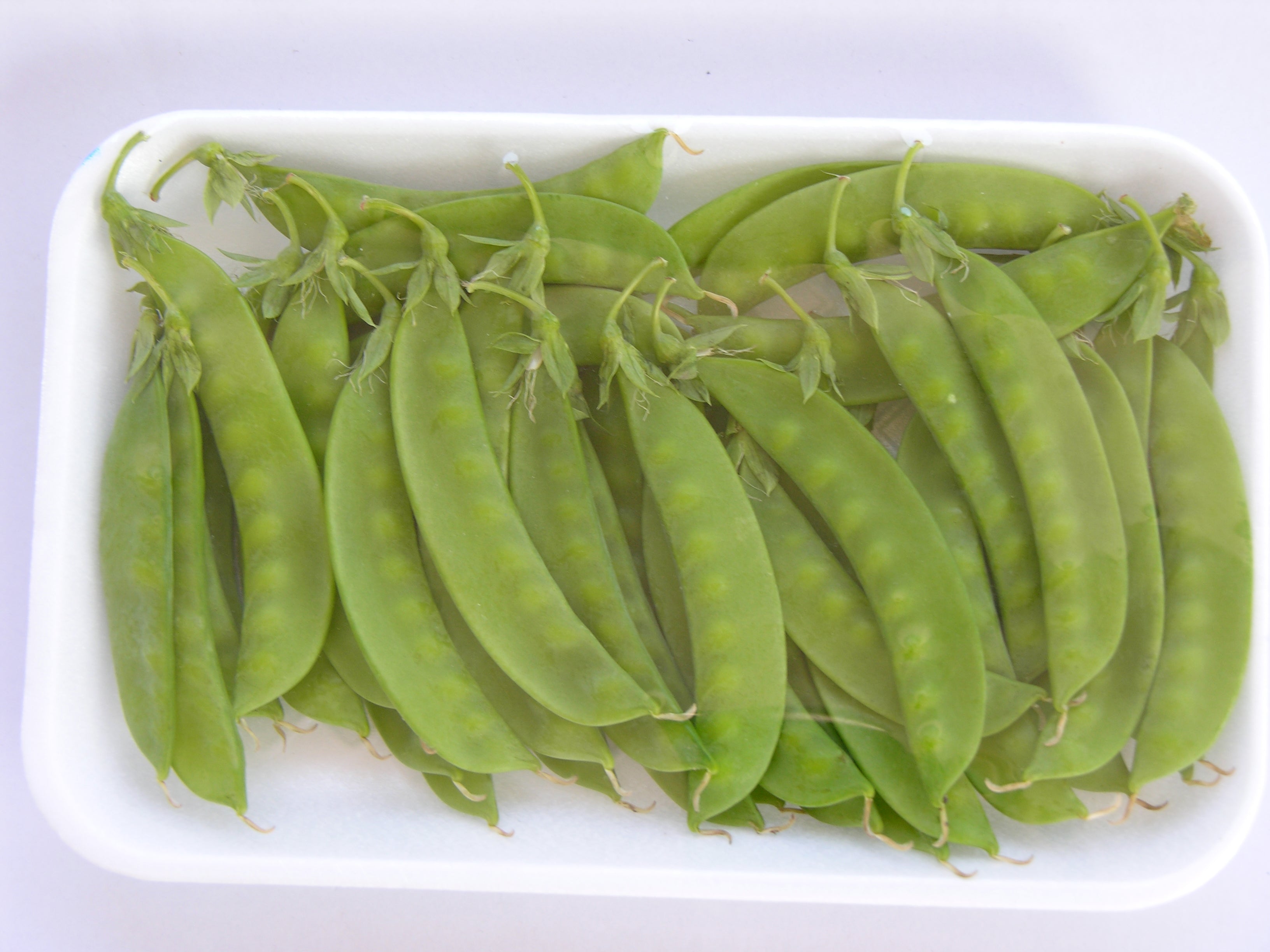 Snow Peas