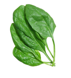 Baby Spinach, Premium