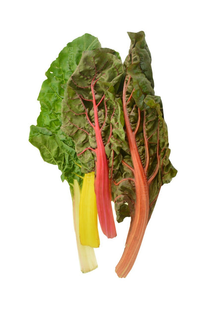 Swiss Chard, Multi-Coloured