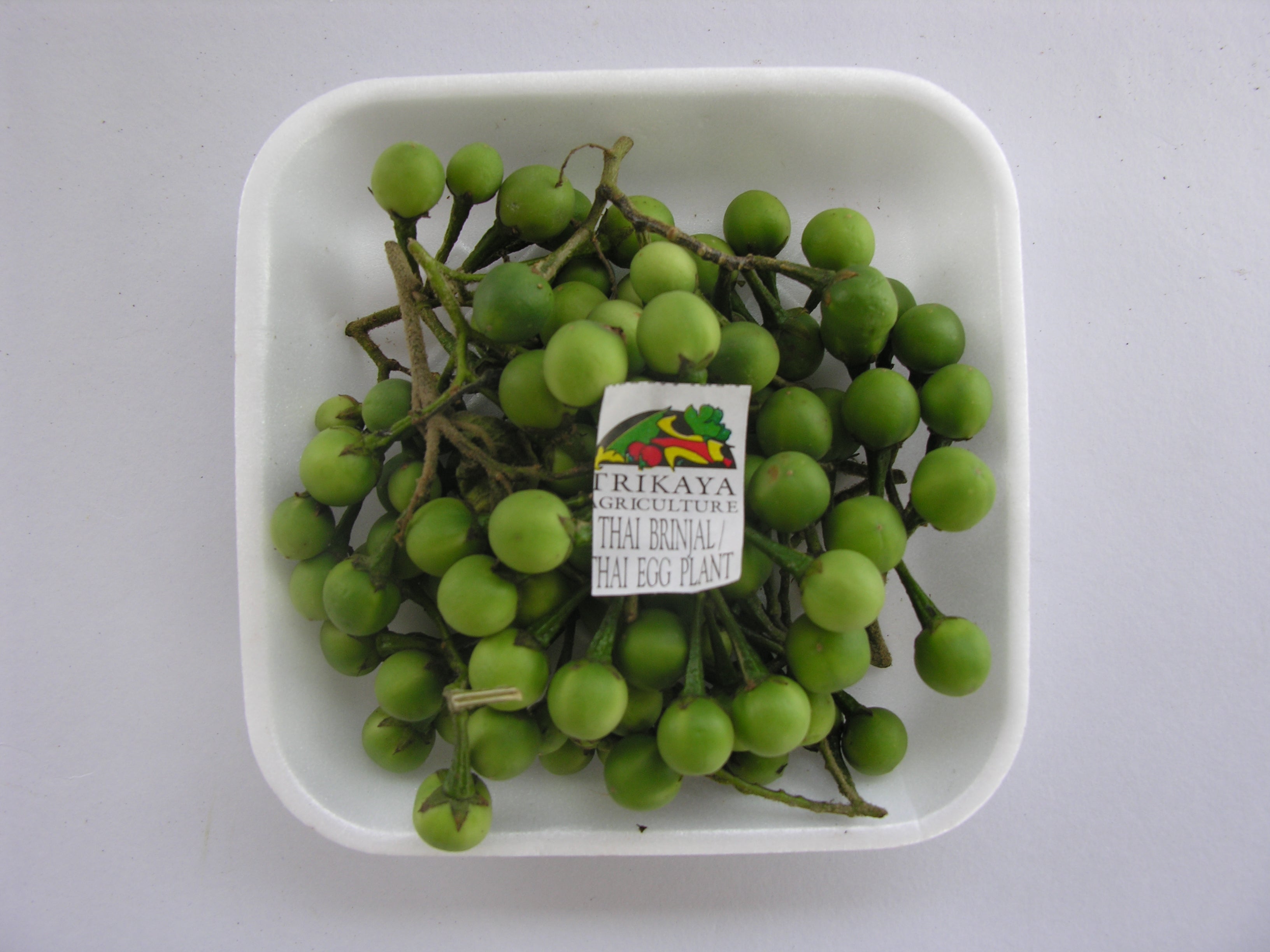 Thai Brinjal