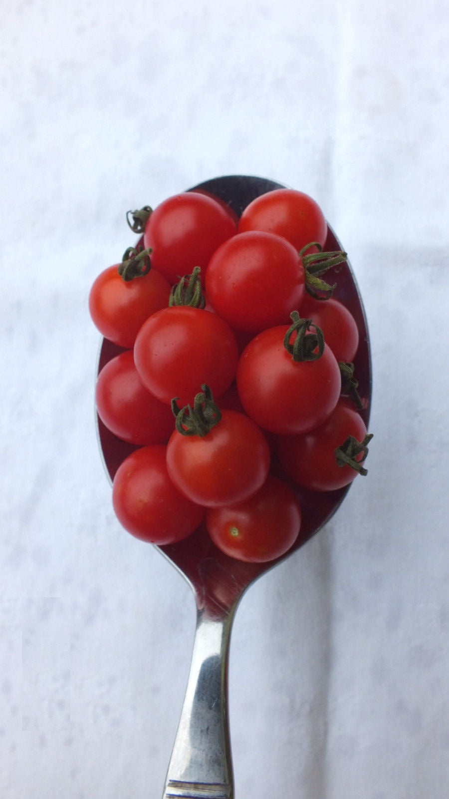 Spoon Tomato