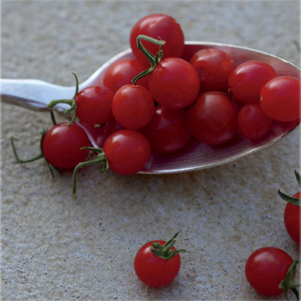 Spoon Tomato