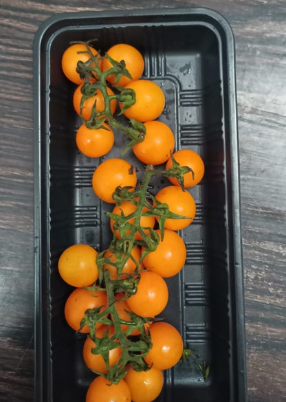 Tomato Vine Ripened - Orange